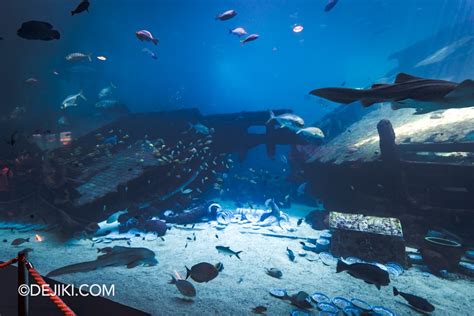 S E A Aquarium Genshin Impact Event Singapore Oceanarium