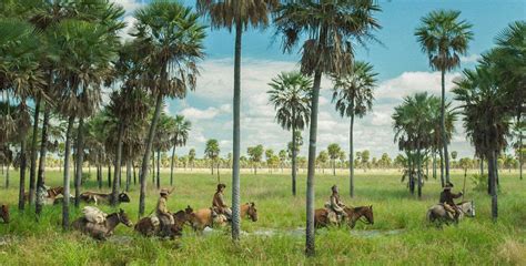 Zama Review - Culturefly
