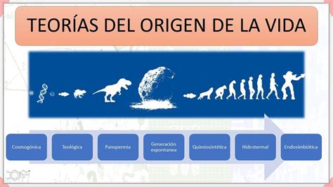 Teorías Del Origen De La Vida Youtube