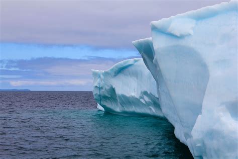 Eisberge Bei Roddickton Neufundland Kanada Foto Von SK Kunde P