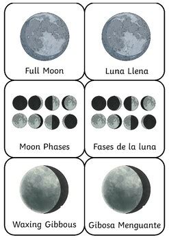 Fases De La Luna Ingl S Espa Ol By Nadia Railao Tpt