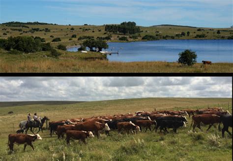 Estanciasguest Ranches Uruguay