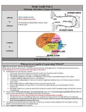 Unit Study Guide Summary Physio Patho Basis Of Adv Nsg Study