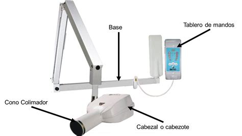 Radiolog A Estomatologica Radiologia Estomatologica