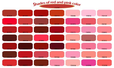 80+ Wine Color Palette Stock Illustrations, Royalty-Free Vector Graphics & Clip Art - iStock