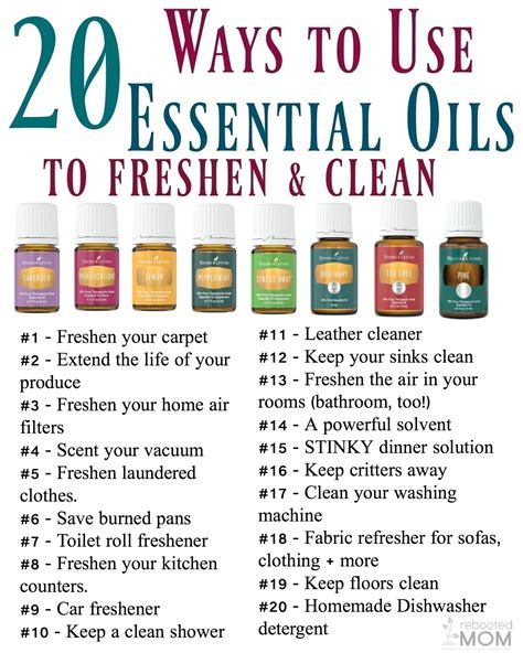 Can You Put Essential Oils In Your Carpet Shampooer Resnooze