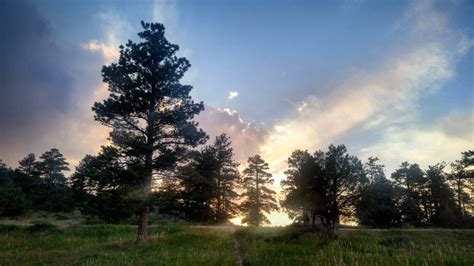 Browns Lake Pingree Park Road Rustic Colorado Free Camping Near You