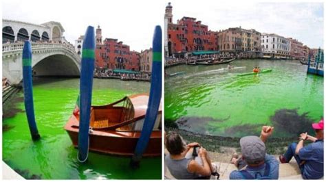 Venice's Grand Canal turns phosphorescent green