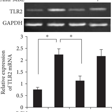 MBL Suppresses PGN Induced Inflammatory Cytokine Production A The