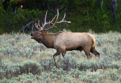 Grand Teton Photography Workshop