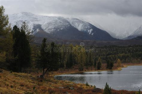 Beautiful Altai Mountains in Winter Siberia Stock Photo - Image of ...