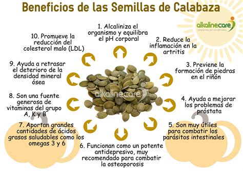 Beneficios De Las Semillas De Calabaza Semillas De Calabaza