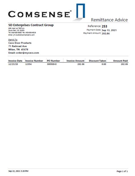 Remittance Advice Template Excel