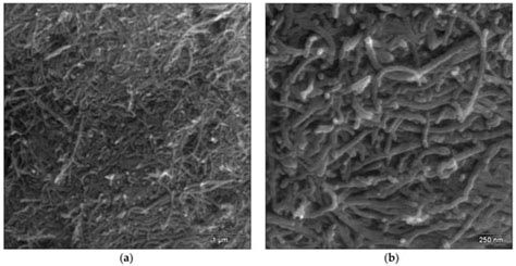 Micromachines Free Full Text Electrophoretic Deposition Of Multi