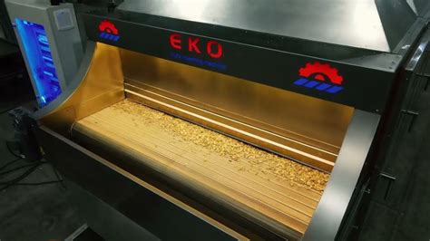 Automatic Nuts Roasting Line Eko Roasting Pumpkin Seeds Flavors