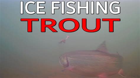 Ice Fishing Brook Trout New Brunswick Canada Underwater Views