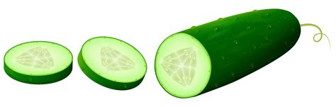 vegetables clipart transparent - Clipground