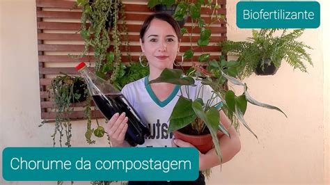 Como Diluir E Utilizar O Chorume Da Composteira Biofertilizante YouTube