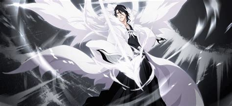 BBS Byakuya Kuchiki Shukei Hakuteiken Bleach Anime Bleach Manga