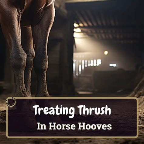 Treating Thrush In Horses Hooves Fight Back Against Thrush Horse Soup