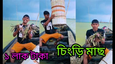 আজকে আমি ঈদের পথম দিনে ১ লাখ টাকা মাছ ধরসি অনেক মাছ পেয়েছি আজকে আমি অনেক খুশি √ Youtube