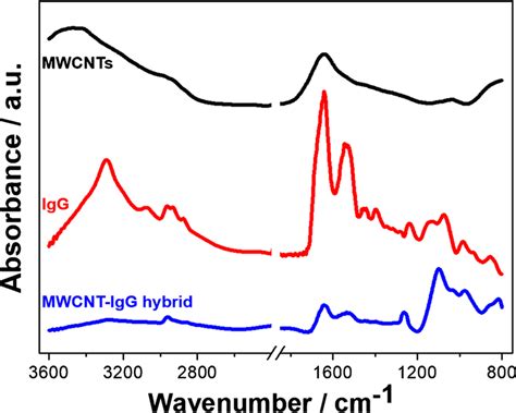 Ftir Spectrum For Mwcnts Black Line Igg Red Line And Mwcnt Igg Download Scientific