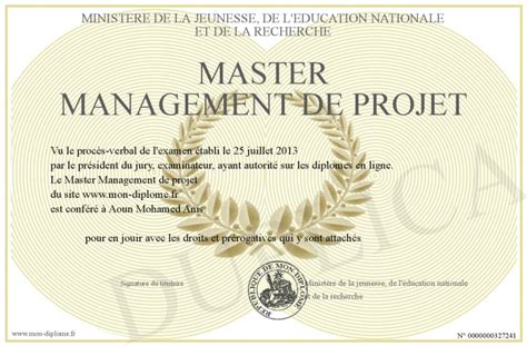 Master Management De Projet