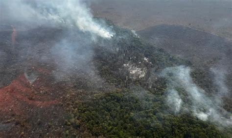 Incêndio Florestal No Parque Nacional De Brasília Está Controlado Sul 21