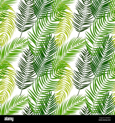 Beautifil Palm Tree Leaf Silhouette Seamless Pattern Background