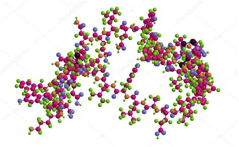 Insulin Structure Model