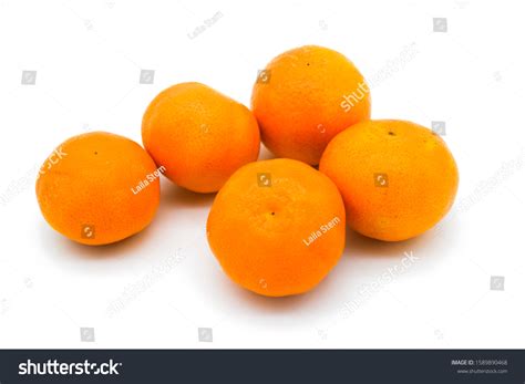 Manderin Images, Stock Photos & Vectors | Shutterstock