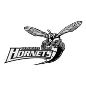 Delaware State Hornets Logo Vector – Brands Logos