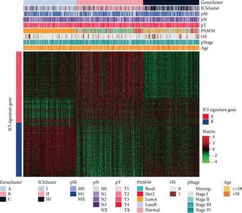 Identification And Comprehensive Analysis Of Immunogenic Gene Clusters Download Scientific