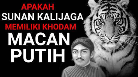 Apakah SUNAN KALIJAGA Memiliki KHODAM MACAN PUTIH YouTube