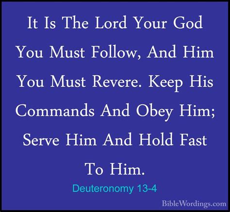 Deuteronomy 13 Holy Bible English