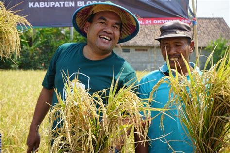 Siap Jadi Lumbung Dunia Bupati Arief Minta Kedungtuban Jadi Contoh