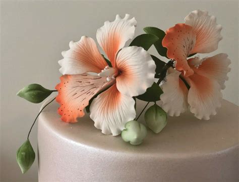 Hibiscus Flower Cake