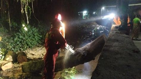 Pohon 15 Meter Tumbang Timpa Rumah Warga Di Bantarjati Bogor