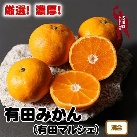 【楽天市場】【ふるさと納税】【先行予約 11月～発送】厳選濃厚有田みかん【サイズ混合】 ※11月上旬～12月下旬頃に順次発送予定 ※北海道