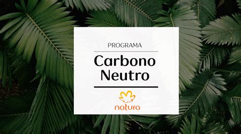 Natura Ha Evitado Más De Un Millón De Toneladas De Co2 Gracias A Su Programa Carbono Neutro