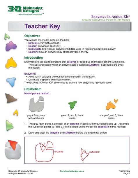 3d Molecular Designs Enzymes In Action Kit Answer Key Erminialorden
