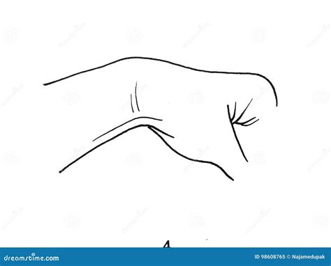 Hand And Wrist Illustration Stock Illustration Illustration Of Hand