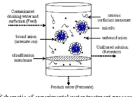 Figure 1 From Semiequilibrium Dialysis Versus Ultrafiltration For The