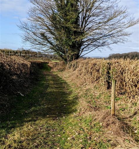 West Along A Track Bishton © Jaggery Geograph Britain And Ireland