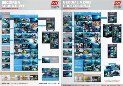 Why Choose Ssi Scuba Schools International For Your Career In Scuba