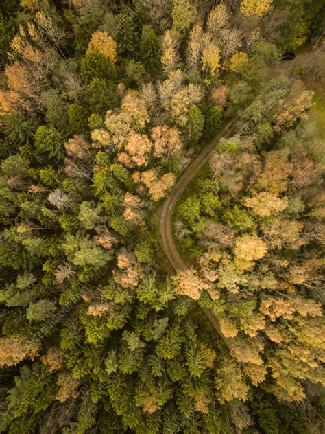 Aerial View Of Empty Road Crossing A Forest Estonia Stock Image