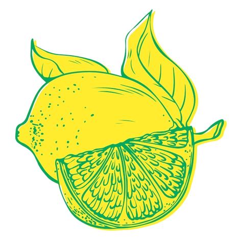 Premium Vector Vector Illustration Of Lemon Fruit With Slice Riso