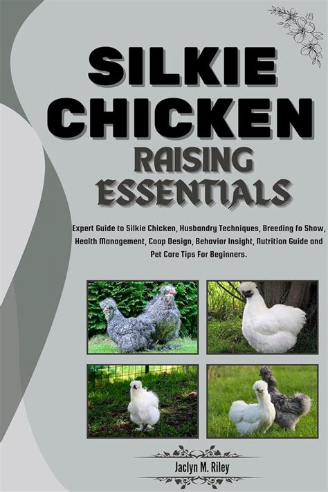 Silkie Chicken Raising Essentials Expert Guide To Silkie Chickens