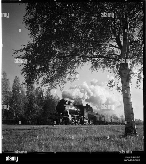 Steam locomotive with freight trains Stock Photo - Alamy