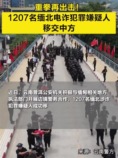 重拳出击！1207名缅北涉电诈嫌疑人移交中方手机新浪网